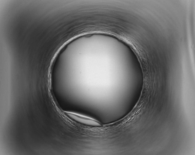 X0000096181524200802081449