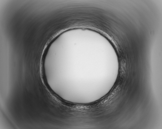 X0000096181525200802081449