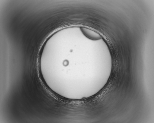 X0000096181526200802081449