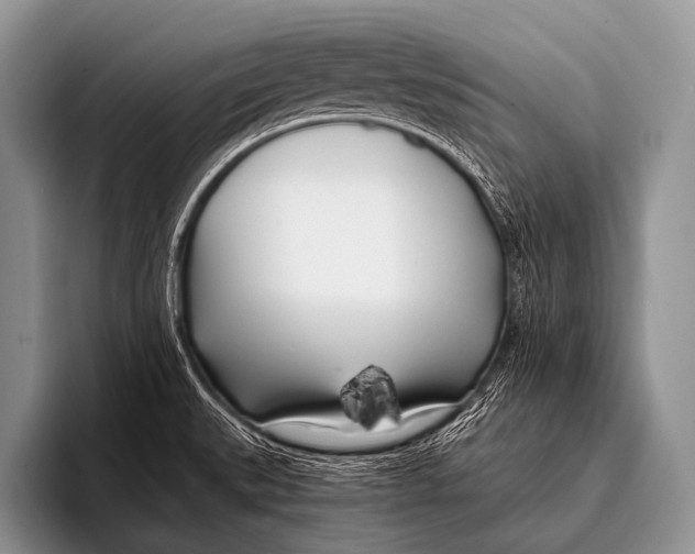 X0000096181527200802081449