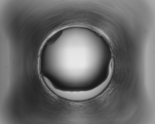 X0000096181528200802081449