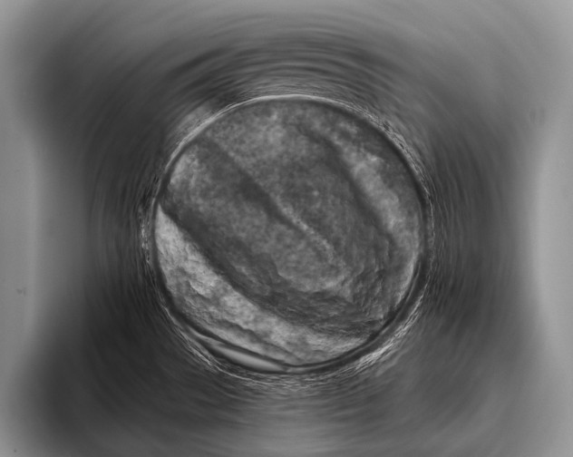 X0000096181529200802081449
