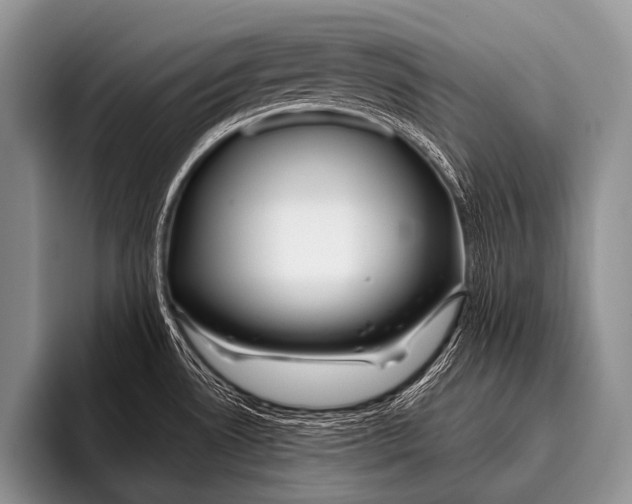X0000096181530200802081449