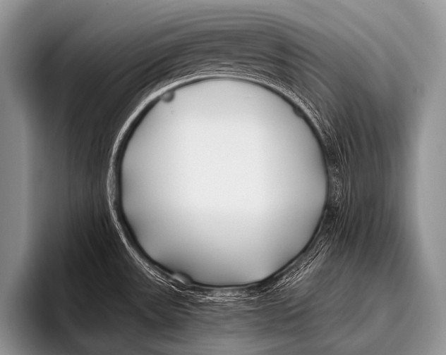 X0000096181531200802081449