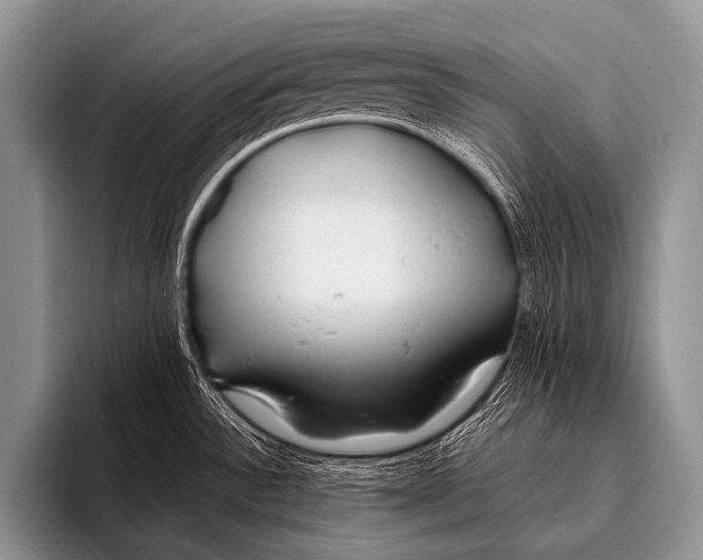 X0000096181532200802081449