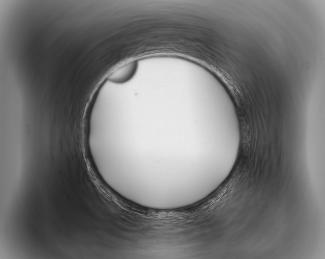X0000096181534200802081449