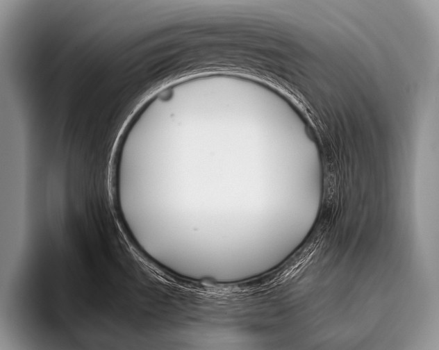 X0000096181535200802081449