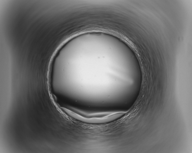 X0000096181536200802081449