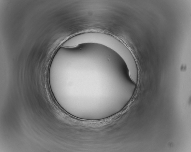 X0000096180001200802151451