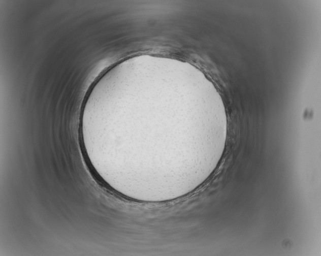 X0000096180003200802151451