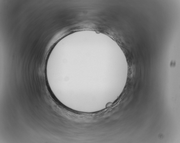 X0000096180004200802151451