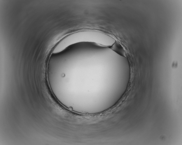X0000096180005200802151451