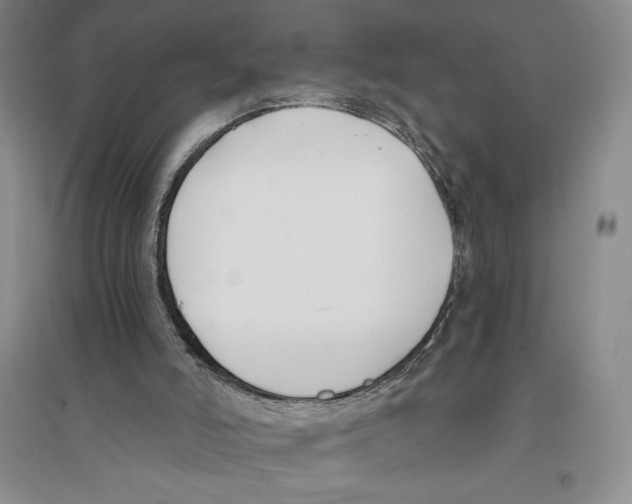 X0000096180006200802151451