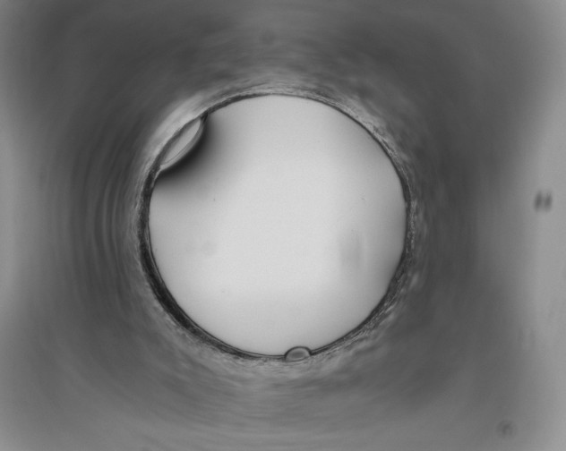 X0000096180007200802151451
