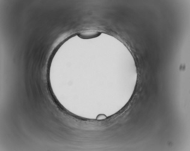 X0000096180008200802151451