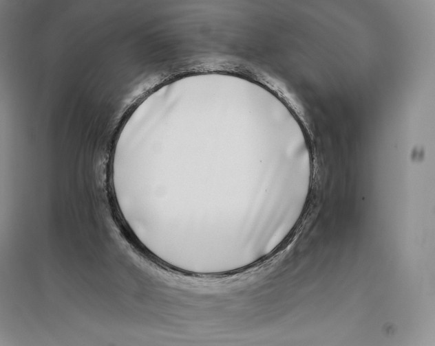 X0000096180010200802151451