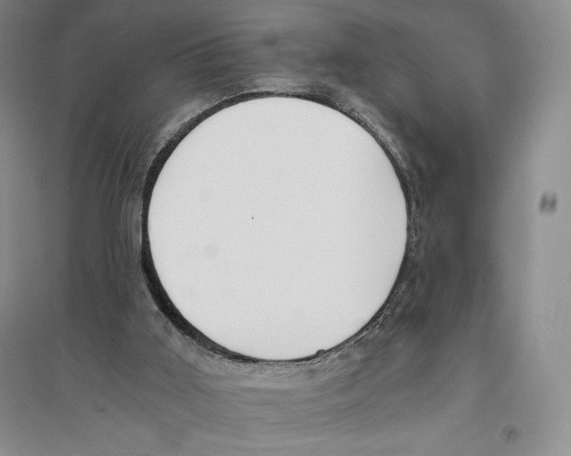X0000096180011200802151451