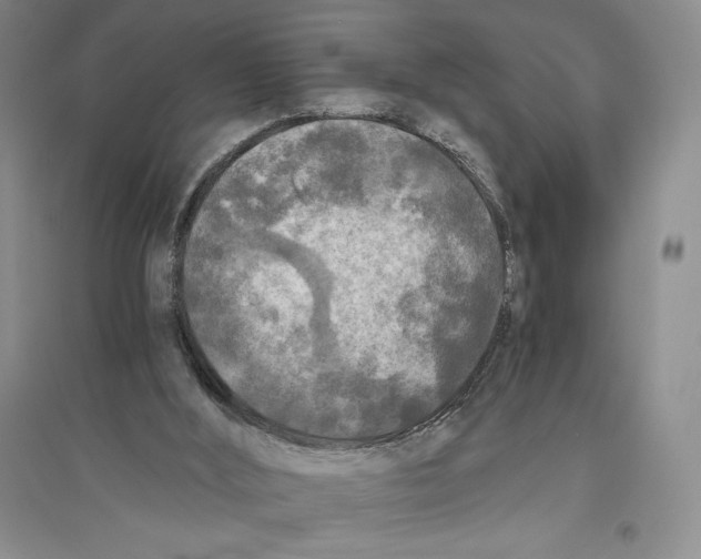 X0000096180012200802151451