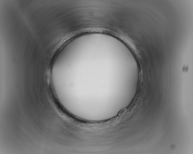 X0000096180013200802151451