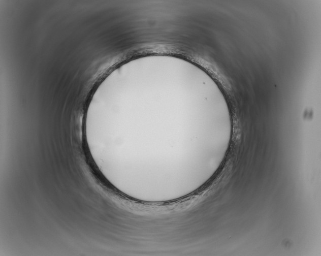 X0000096180014200802151451