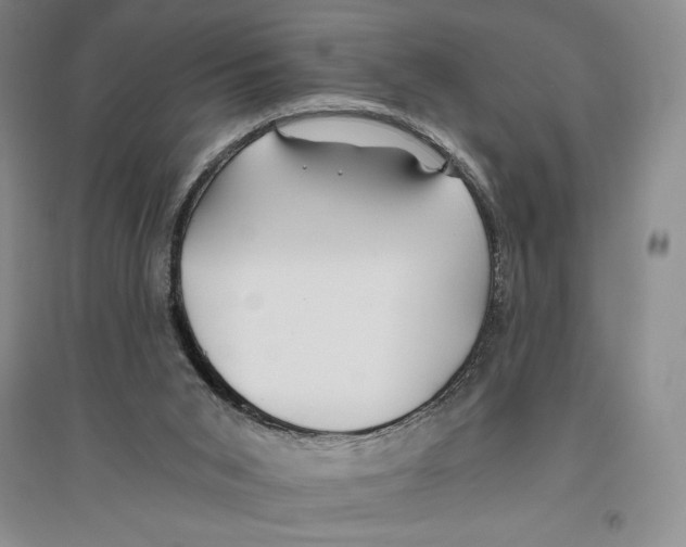 X0000096180015200802151451