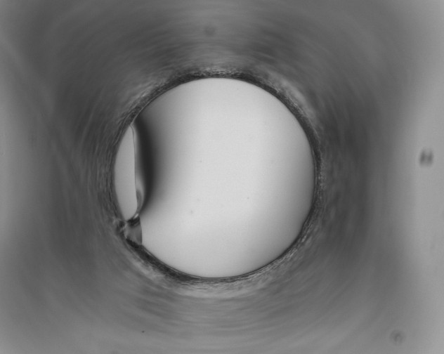 X0000096180017200802151451