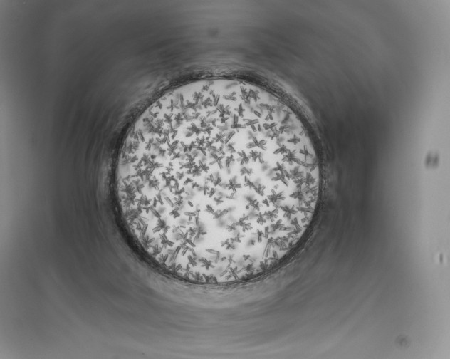 X0000096180018200802151451