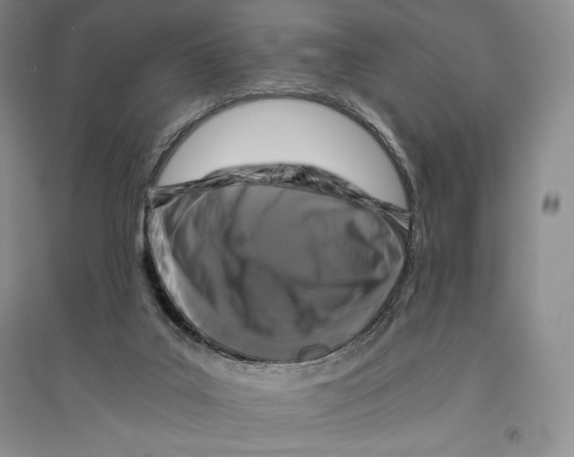 X0000096180019200802151451