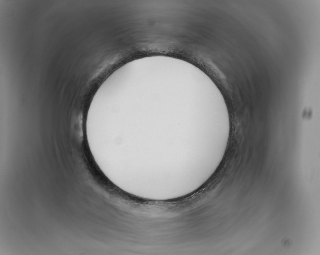 X0000096180020200802151451