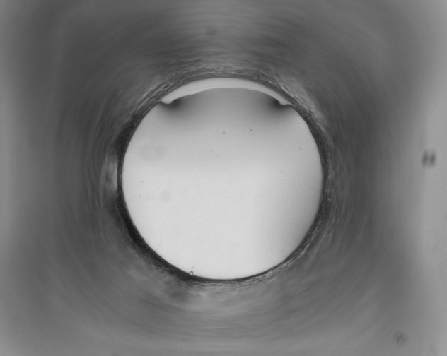 X0000096180021200802151451