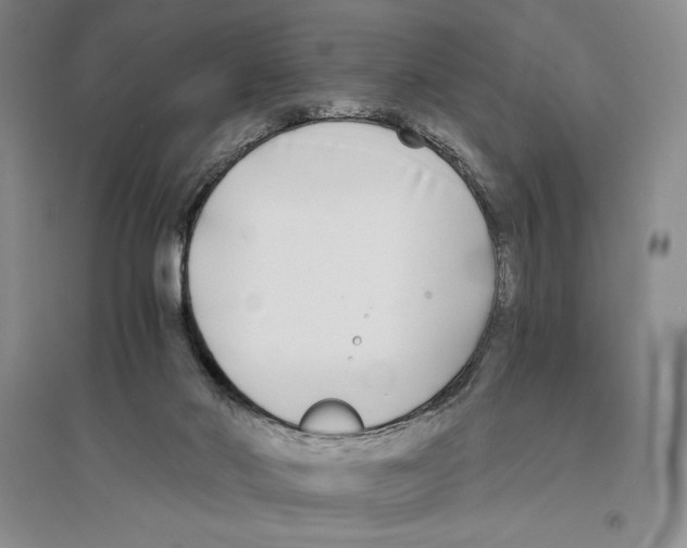 X0000096180022200802151451