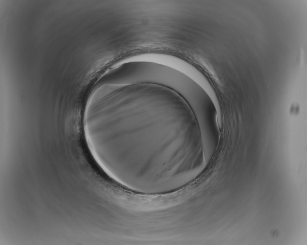 X0000096180023200802151451