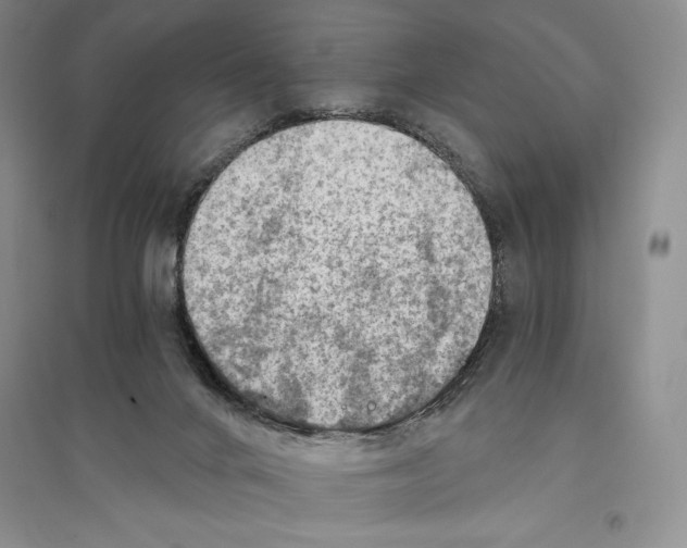 X0000096180024200802151451