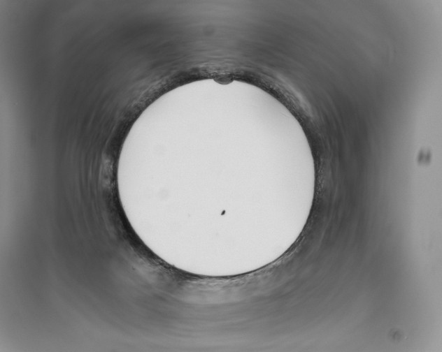 X0000096180025200802151451
