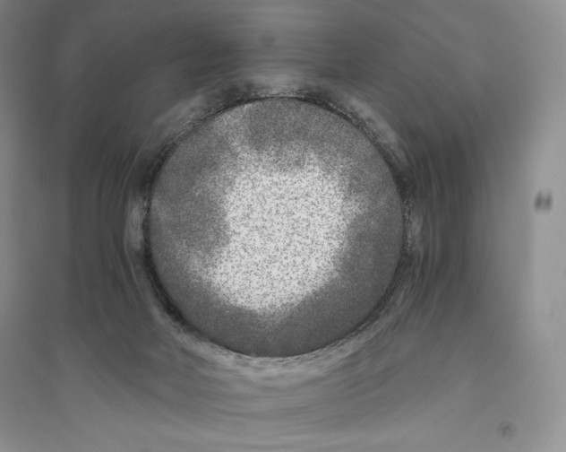 X0000096180026200802151451