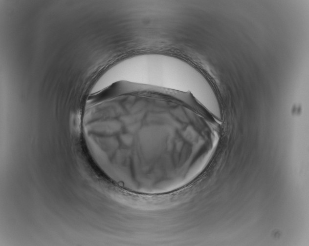 X0000096180027200802151451
