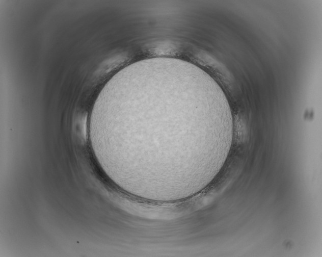 X0000096180028200802151451
