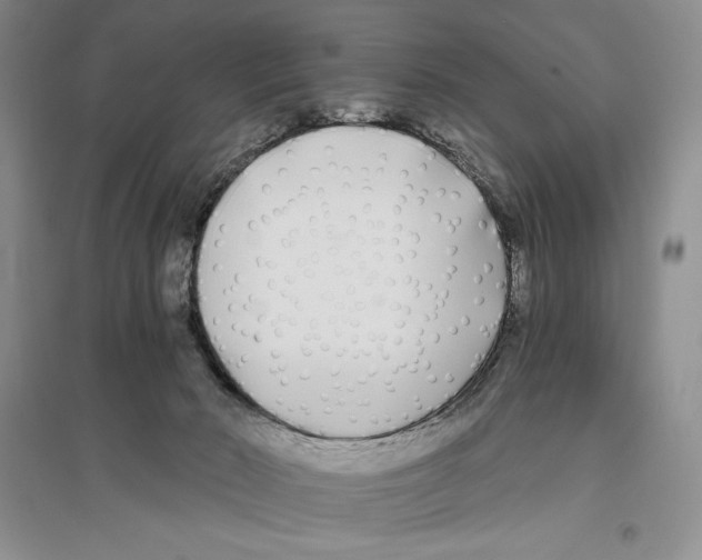 X0000096180030200802151451