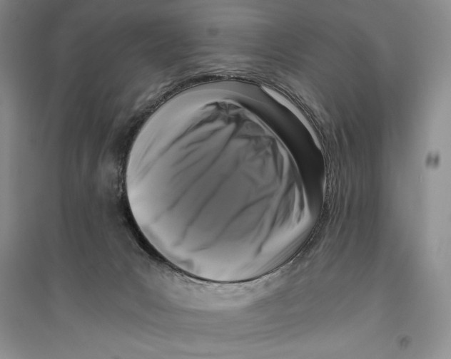 X0000096180031200802151451