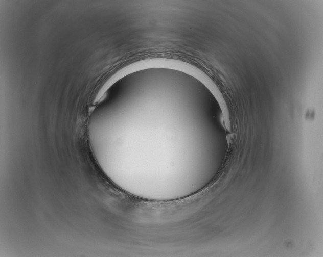 X0000096180033200802151451
