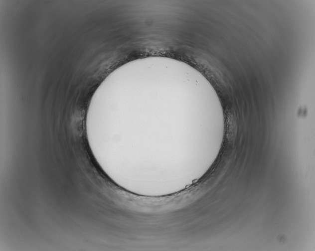 X0000096180034200802151451