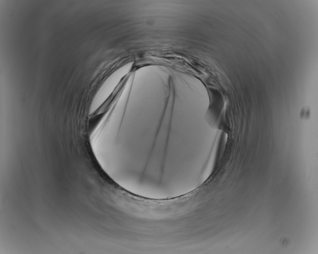 X0000096180035200802151451