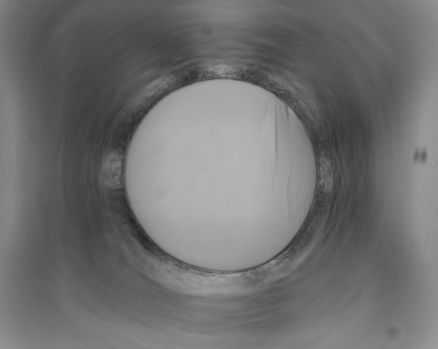 X0000096180036200802151451