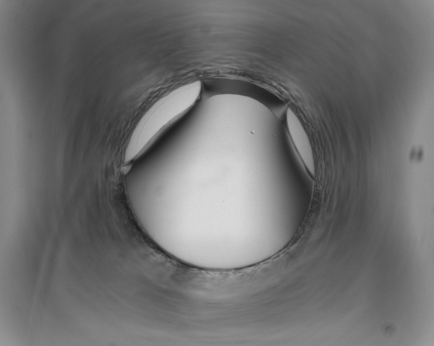 X0000096180037200802151451