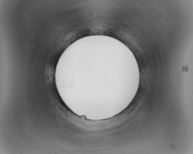 X0000096180038200802151451