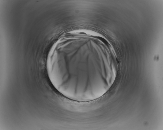 X0000096180039200802151451