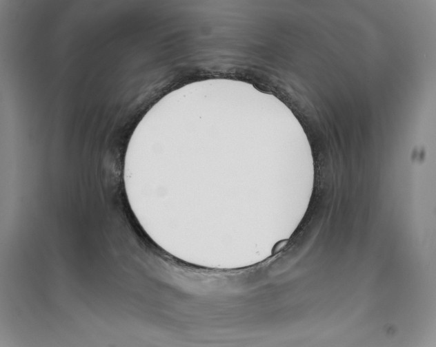 X0000096180040200802151451