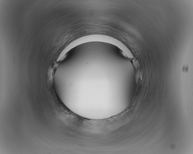X0000096180041200802151451