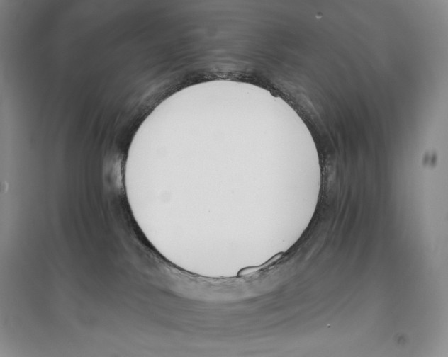 X0000096180042200802151451