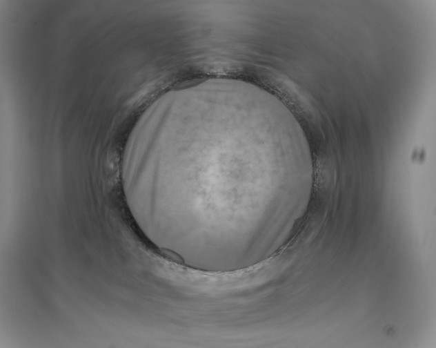 X0000096180043200802151451